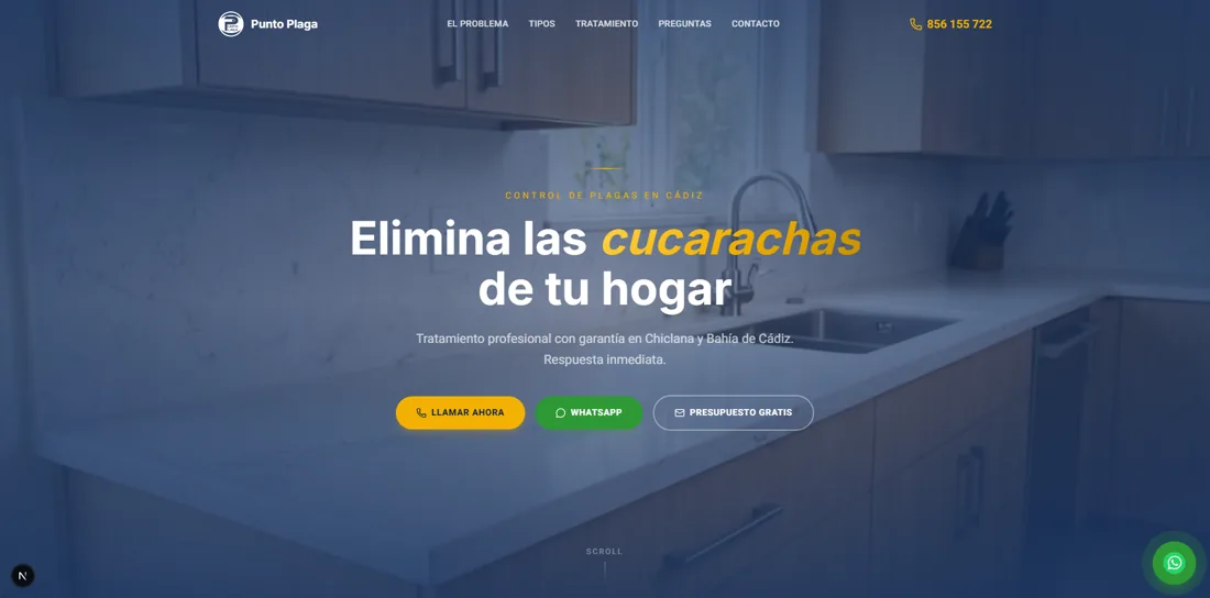 Punto Plaga — control de plagas en Cádiz